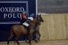 Oxford Polo 2023_01_22 0019